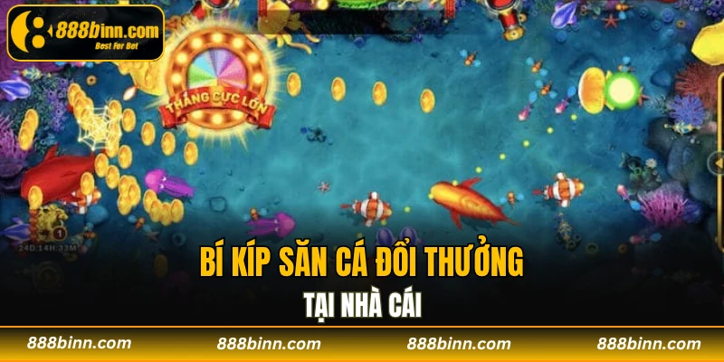 Bắn cá 888b - Khám Phá Vương Quốc Biển Khơi Năm 2025 2 Bí kíp săn cá đổi thưởng tại nhà cái