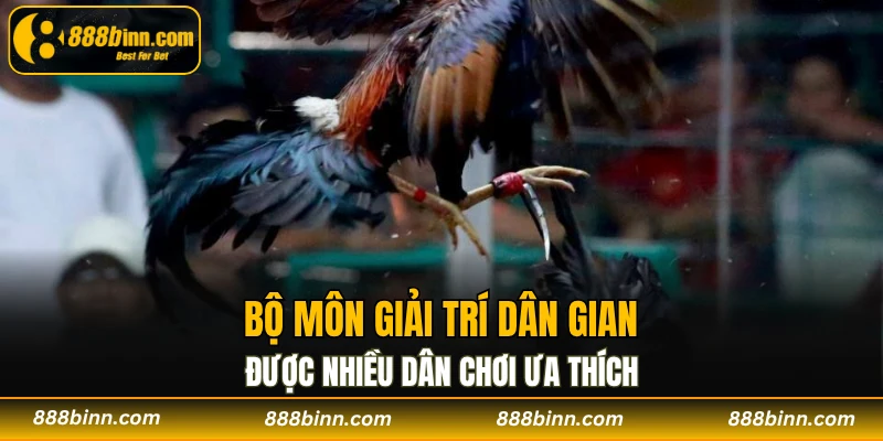Đá Gà Đòn – Bộ Môn Giải Trí Dân Gian Đặc Sắc Tại 888B 2 Bộ môn giải trí dân gian được nhiều dân chơi ưa thích