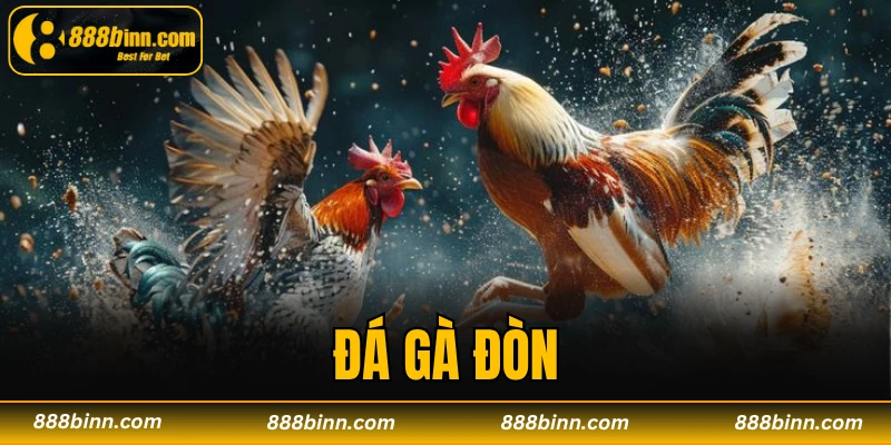 Đá Gà Đòn – Bộ Môn Giải Trí Dân Gian Đặc Sắc Tại 888B