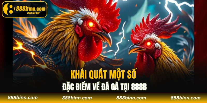Đá gà 888B - Điểm Đến Hấp Dẫn Hội Viên Không Nên Bỏ Qua 1 Khái quát một số đặc điểm về đá gà tại 888B