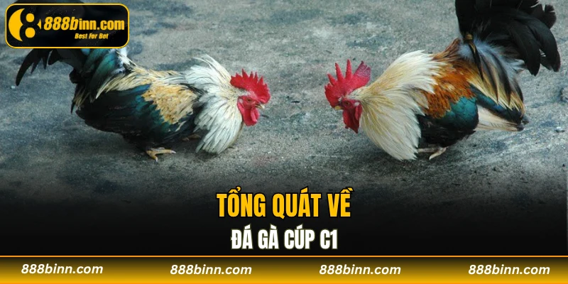 Đá Gà Cúp C1 - Những Trận Đấu Không Thể Bỏ Lỡ Năm 2025 2 Tổng quát về đá gà cúp C1